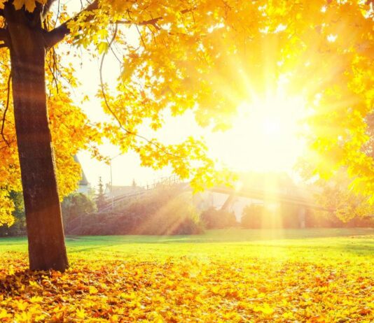 Как определить погоду по народным приметам?