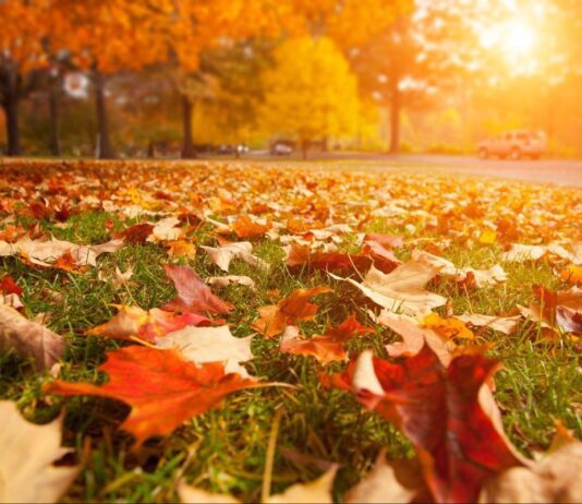 Переменная черниговская погода