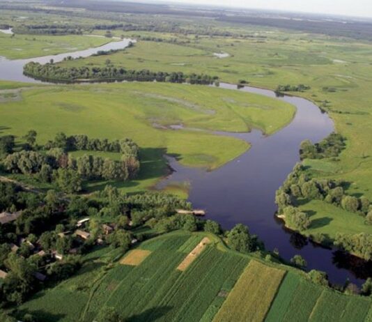 Изобретатели Черниговщины