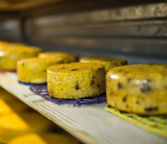 Виробництво сирів у селі на Чернігівщині