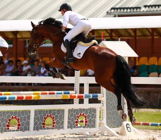 Конный клуб «Sergienko Stable» под Черниговом