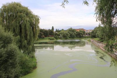 На работы по очистке реки Стрижень потратят 14000000 гривен