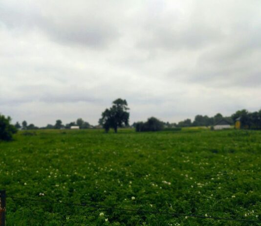 Удалось ли Вертиевской общине воссоздать экосистему?