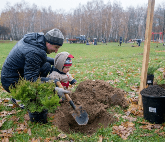 Черниговские волонтеры подарили парку деревья