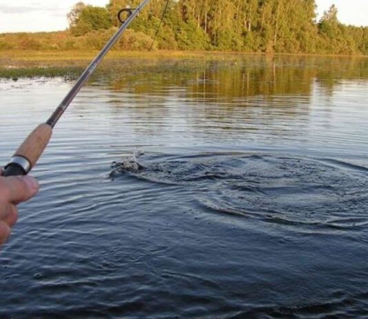 Где на Черниговщине запретят ловить рыбу?