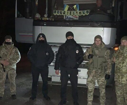 Любишь лес — покупай живую ель, но только не у браконьеров