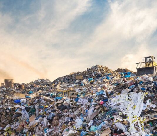 Мусор можно превращать в водород? На Черниговщине планируют построить завод по переработке отходов в синтез-газ