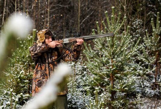 Заезжий браконьер убил лосиху, занесенную в Красную книгу