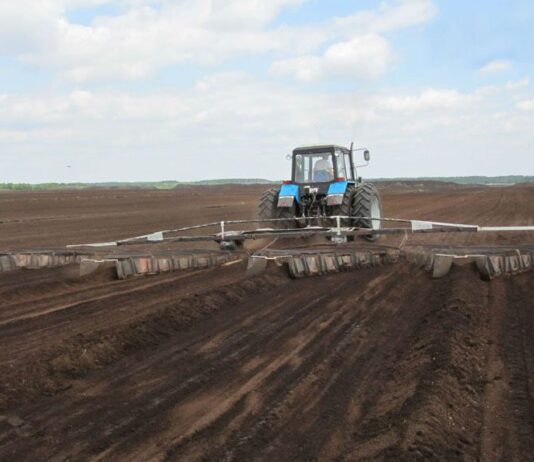 Кто убивает природу на Черниговщине? Названы главные виновники надвигающейся экологической катастрофы