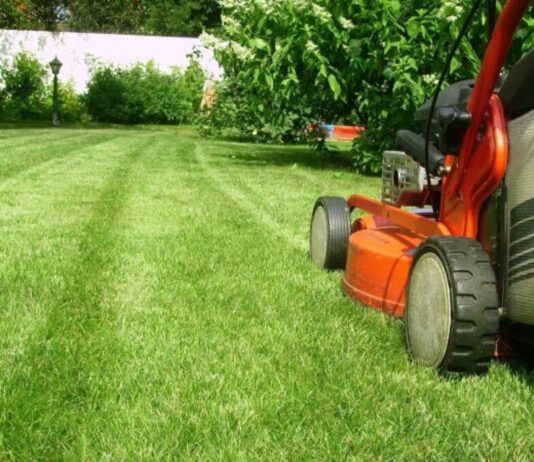 Уход за садом — маленький вклад в экологию