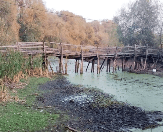 Кто распахал берега Остера и накажут ли виновных?