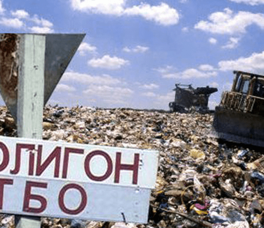 Як чернігівська компанія видобуває паливо для ТЕС … на смітниках і лісопильнях