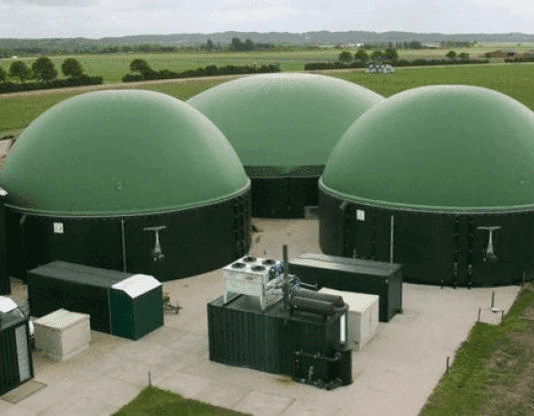 На Семеновщине готовят к пуску электростанцию стоимостью 180 миллионов гривен, работающую на кукурузе