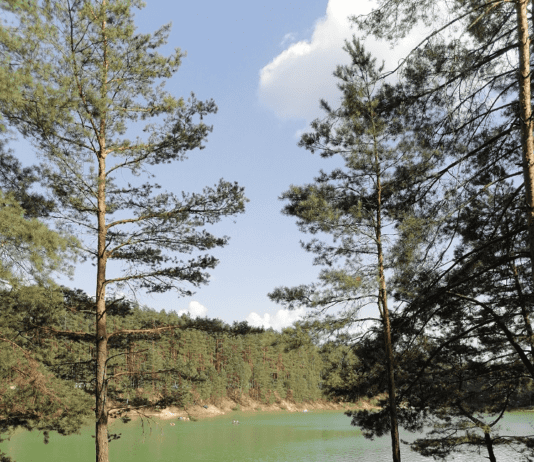 О Голубых озерах Черниговщины и исторических местах в их окрестностях