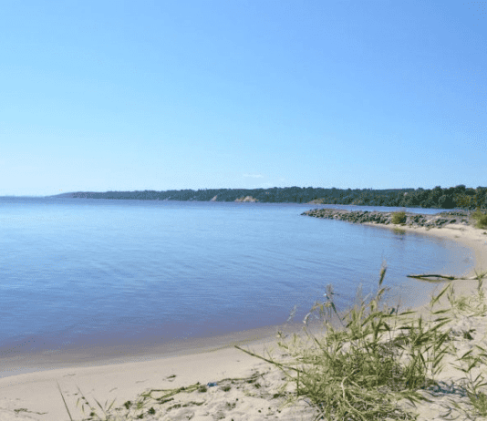 Таємниці Київського моря: чим небезпечне водосховище для Чернігівщини?