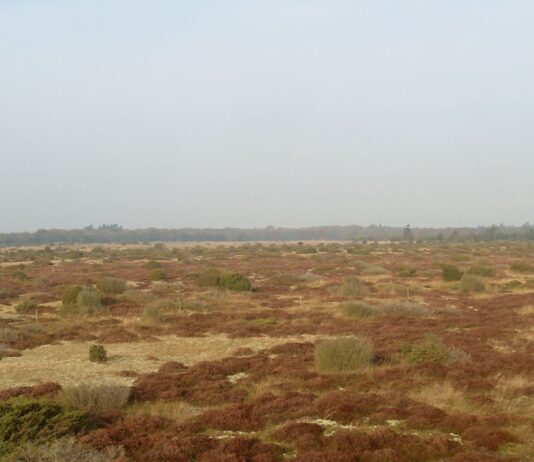 Полезные ископаемые на территории Черниговской области