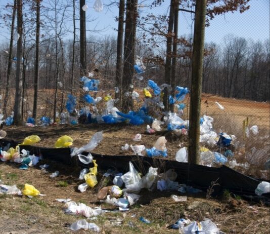 Як містяни долучаються до збереження довкілля