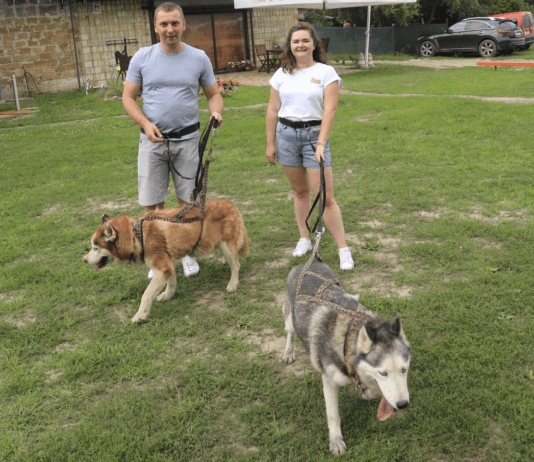 «Дім Хаскі» на Чернігівщині – незвичайне місце відпочинку