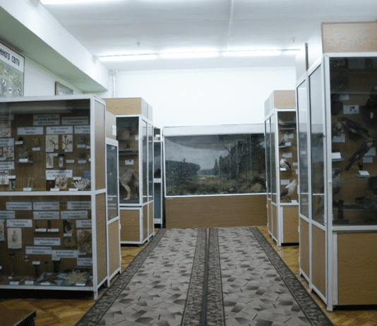 Зоологічний музей Ніжинського держуніверситету – ґрунтовна база для наукових досліджень