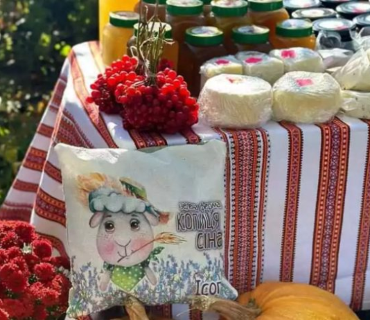 Екоферма на Чернігівщині «Копиця Сіна»: затишний відпочинок та домашні продукти