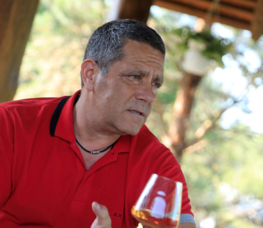 Виноварня VINOMAN на Чернігівщині – перша та унікальна