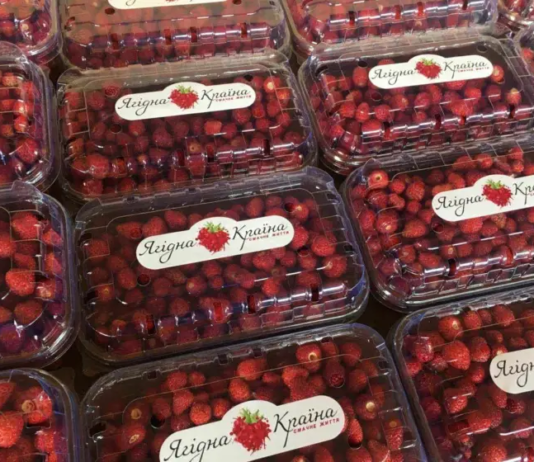 Теплиці «Ягідної країни» на Чернігівщині