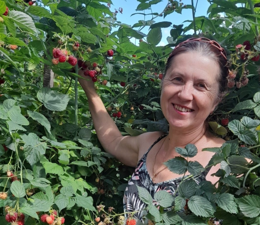 Малиновое дерево и не только во дворе Людмилы Борисовец из Черниговщины