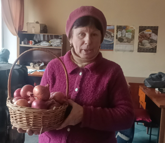 Нові сорти цибулі дослідницької станції «Маяк» на Чернігівщині