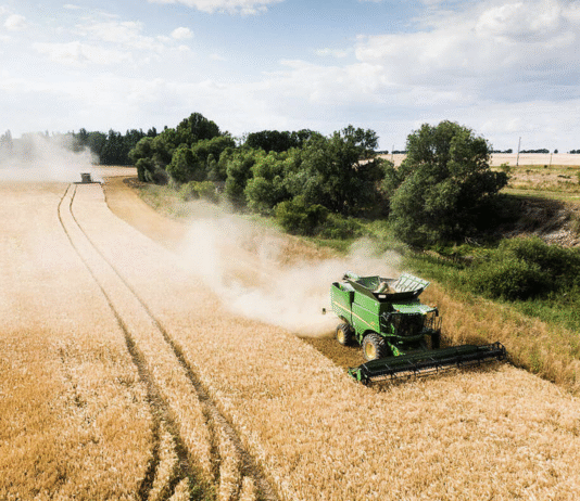 Как украинские фермеры адаптируются к изменениям климата: новые стратегии и технологии