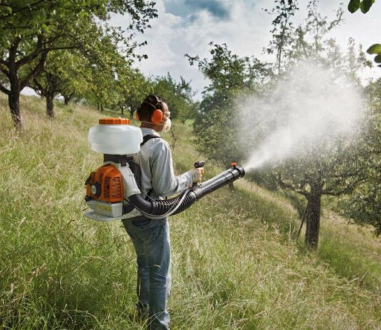 Обработка сада весной