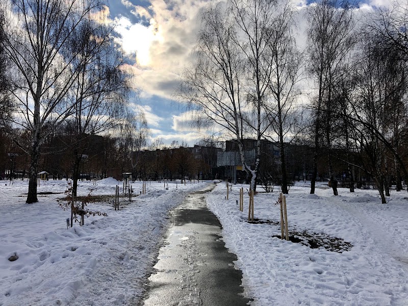 Березовий гай