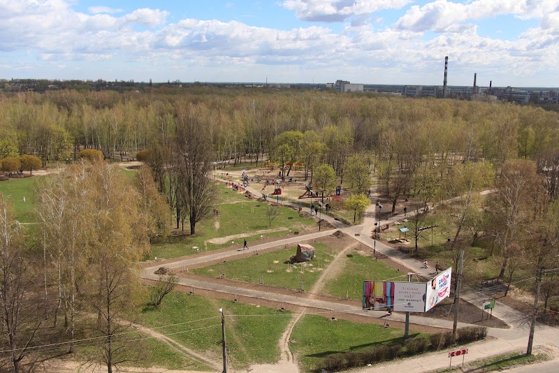 Березовий гай