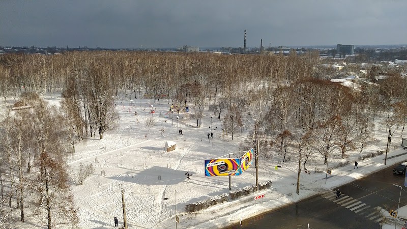 Березовий гай