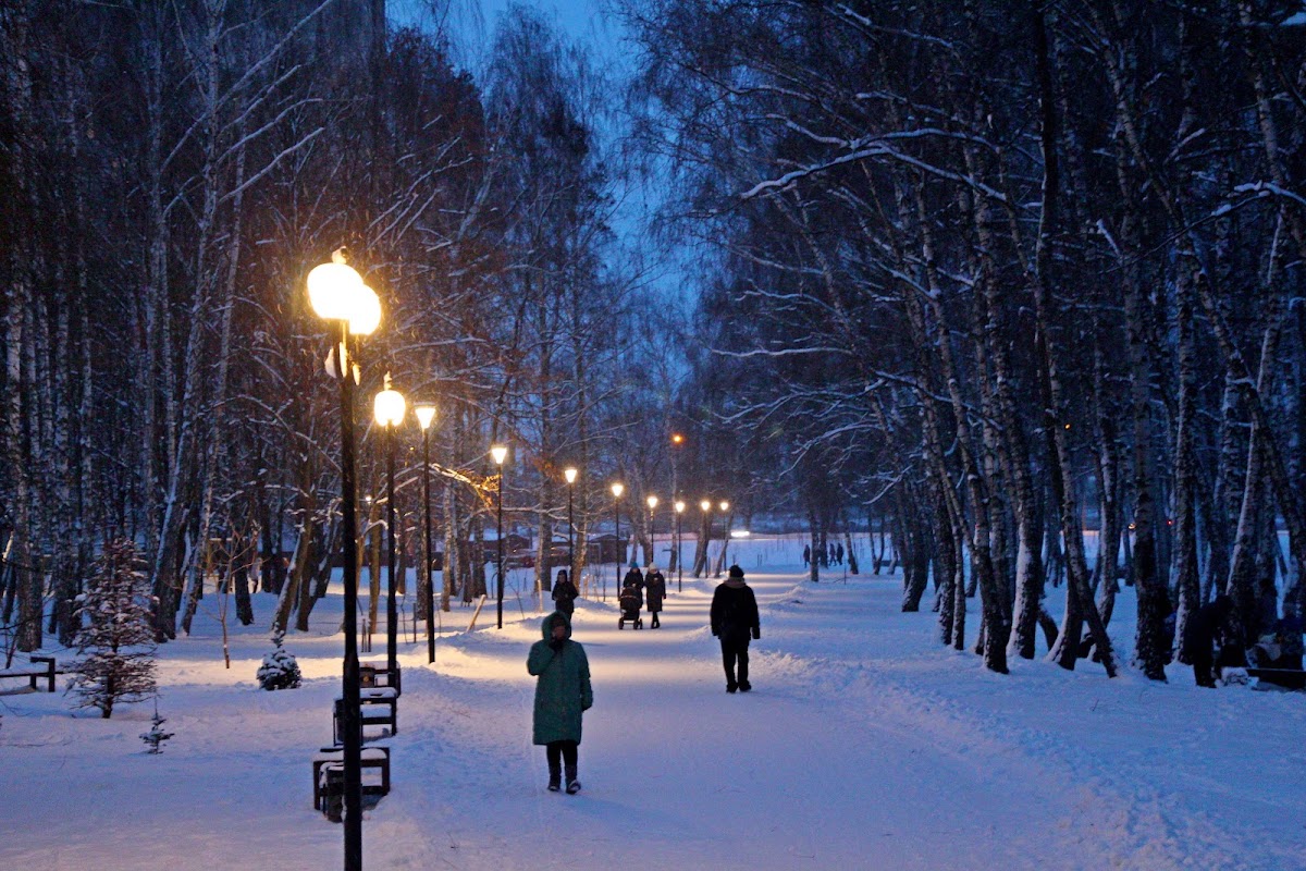 Березовий гай — Park