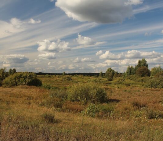Межреченский региональный ландшафтный парк