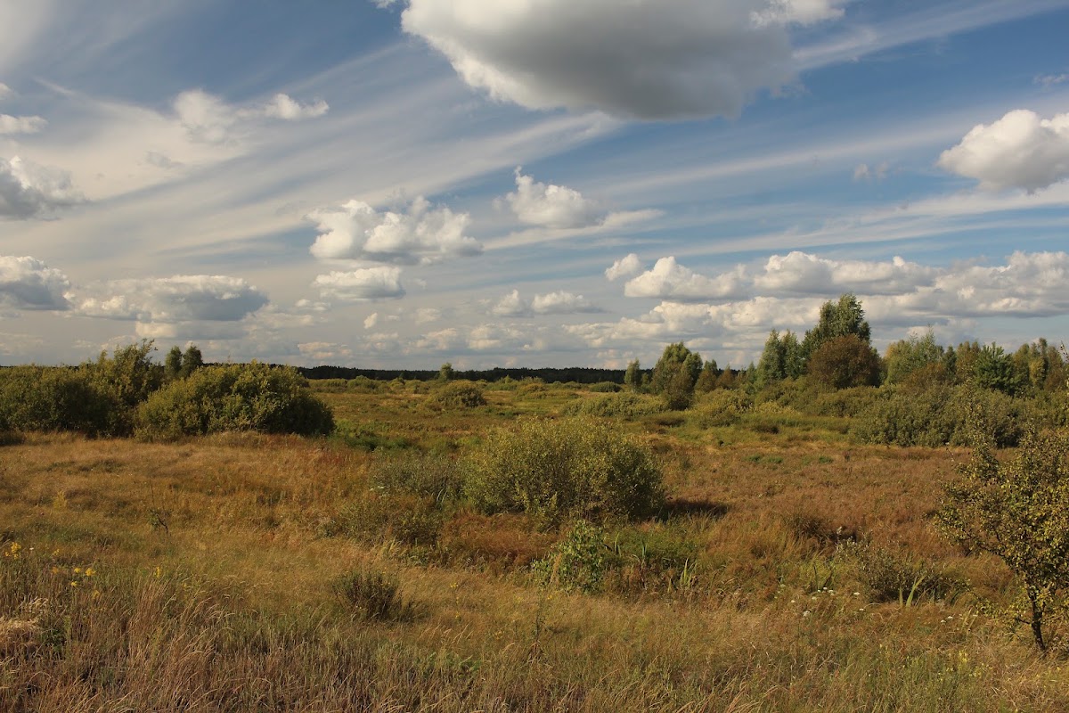 Міжрічинський регіональний ландшафтний парк — Park